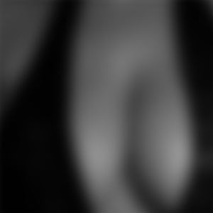 rencontre-Cougar-La Rochelle